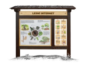 lesni-internet-m.jpg